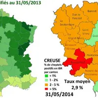 En France, au 31 mai 2013, 64,5 % des cheptels bénéficiaient d’une appellation IBR. La Creuse fait partie des dix départements avec plus de 90 % de ch