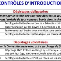 Au-delà des dépistages obligatoires, les risques sanitaires lors d’introduction peuvent être occasionnés par des maladies spécifiques ou des syndromes