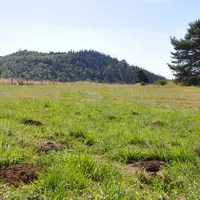Les campagnols sont présents dans la plupart des territoires du Massif central. Les zones actuellement les plus impactées sont au sud du Puy-de-Dôme e