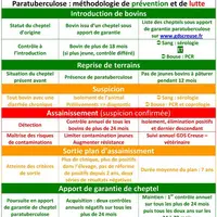 Lors de présence de la paratuberculose dans un élevage, deux points s’avèrent primordiaux à respecter :
- La précocité d’intervention. Pour un même t