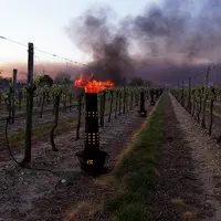 Des bougies dans les vignes pour contrer le gel.