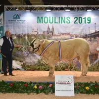 P’tit Louis, élevage Gagnepain Champenois (Rigny-sur-Arroux, 71) : Super prix d’honneur veaux mâles.