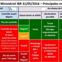 L’arrêté ministériel IBR a renforcé l’assainissement des troupeaux avec des restrictions à la circulation des bovins positifs et des contrôles pour le