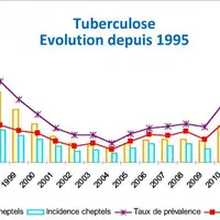 Malgré le renforcement de la surveillance, l'incidence (nombre de nouveaux cas) et la prévalence (nombre total de cas) restent stables à un niveau per
