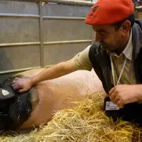 Patrick Royer aux côtés d’Isis.