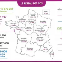 Le réseau des GDS s'articule autour de 3 structures, généralement associatives, agissant de manière complémentaire. Les GDS départementaux ou interdép