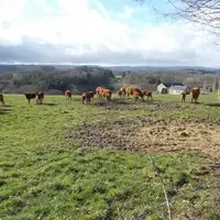 Impact du piétinement autour des zones des râteliers.
