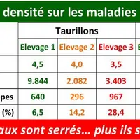 Deux études en veaux laitiers en station expérimentale et en engraissement de taurillons mettent en lumière le caractère exponentiel du risque respira