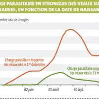 La date de naissance influe fondamentalement la dynamique d’infestation au niveau des prairies. Cela implique donc une approche spécifique de la gesti