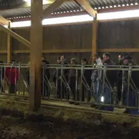 Gaec de Charousseix : Visite de la stabulation.