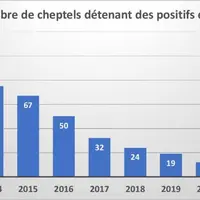 Avec 97 % de cheptels indemnes, notre département confirme sa situation très favorable vis à vis de l’IBR.