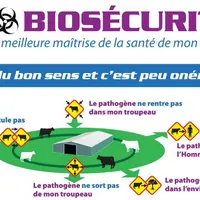 La biosécurité peut se décomposer en 5 axes de points de maîtrise. Les 3D (désinfection, dératisation, désinsectisation) en sont des éléments constitu