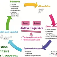 L’état sanitaire repose sur l’équilibre entre les capacités de défense (anticorps) et la pression microbienne (germes). Un problème sanitaire est la c