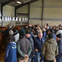 6 taureaux charolais et 24 limousins étaient mis en vente sous pli cacheté.