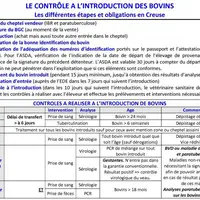 Le non-respect strict des étapes 1, 6 et 8 peut entraîner des conséquences sanitaires désastreuses dans son cheptel.