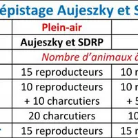 Le dépistage Aujeszky reste maintenu dans les élevages de porcs plein-air, chez les sélectionneurs multiplicateurs et dans les élevages de sangliers.