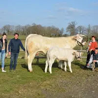Le Gaec Élevage Verger monte au Salon avec Précieuse, une vache suitée de 3 ans.