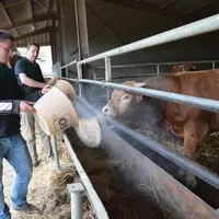 Jean-Yves Debrosse n'a pas hésité à intégrer un remplaçant, Vincent Ducoudray, dans sa ferme.