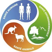 L’initiative One Health (« une seule santé ») est un mouvement créé au début des années 2000 qui promeut une approche unifiée de la santé publique, an