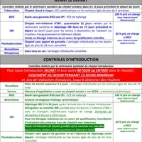 Depuis le 1er janvier 2023, les bovins issus de cheptels non « indemne d'IBR » ne peuvent plus rentrer en élevage indemne.