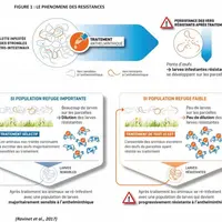 La résistance à une famille d’antiparasitaires dans une population de parasites correspond à l’augmentation de la fréquence des individus qui tolèrent