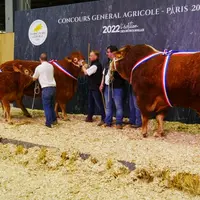 Les champions limousins.