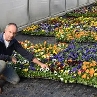 Serge Maugein devant ses pensées, destinées à la benne.