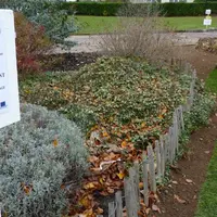 Élagage, plantation ou engazonnement, l’UNEP a proposé de nombreux ateliers sur le site des Vaseix.