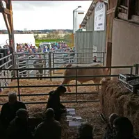 Orio, issu du Lycée agricole de Challuy, a obtenu la meilleure enchère à 4 350 euros.