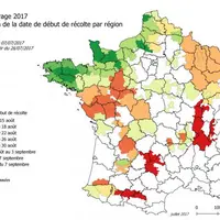 Pour la Creuse, Arvalis prévoit un début de récolte entre le 27 et le 30 août.