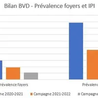 À l’issue de la 3e campagne de bouclage généralisé, les résultats sont encourageants avec une baisse de la prévalence des foyers de BVD et des IPI dét