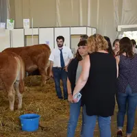 Aquitanima reste un rendez-vous prisé par les éleveurs de toutes races, à la fois pour rencontrer les autres professionnels et le grand public.