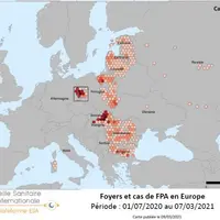 La progression de la fièvre porcine en Europe est inquiétante pour la filière porcine. Au 15 mars 2021, 812 cas répartis dans 4 secteurs ont été recen