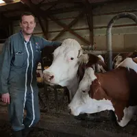 Frédéric Pélisse élève 60 montbéliardes à Saint Jean de Nay.