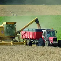 La planète aurait presque 3 mois de stocks en blé devant elle en fin de campagne prochaine, contre un peu plus de 2 mois à l'heure actuelle.
