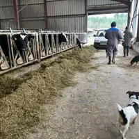 Les chefs d’exploitation sont éligibles à certaines aides gouvernementales.