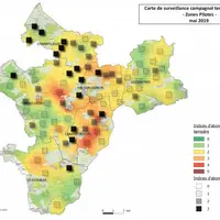 Les observations de mai 2019 confirment que les populations de campagnols sont en phase de croissance, comme noté en 2018, avec localement des parcell