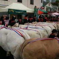 La Fête du Fin Gras du Mézenc, un bon moment de rassemblement convivial autour des animaux et des éleveurs du secteur. (Photo : au lac d'Issarlès en A