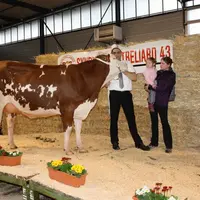 Istamoise Miss Montbéliarde 2016 en Haute-Loire vise la plus haute marche au Sommet.