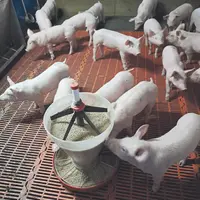 Inaporc lance le "Manifeste pour la sauvegarde des filières d’élevage françaises" et appelle toutes les filières animales à la rejoindre