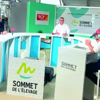 Interview sur la démarche « Parlons Vrai ! » sur le plateau radio RCF lors du Sommet de l’élevage.