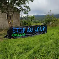 La FDSEA de Haute-Loire affiche son opposition à une cohabitation de l'activité d'élevage et du loup.