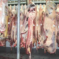 Carcasses de viande
