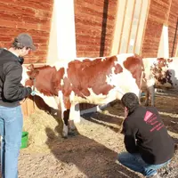L’épreuve n’est pas si facile devant l’animal…