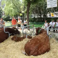 L’opération sourire «La ferme s’invite en ville» ouvre ses portes le 28 juin après-midi.