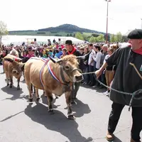 La grande parade du Fin Gras du Mézenc devant la foule.