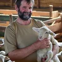Paul Bony, président de Copagno l’affirme : «Nous devons travailler à réguler les apports d’agneaux sur l’année pour maintenir les prix. Nous n’y parv