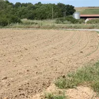 Un bail rural est valable qu’il soit écrit, notarié ou verbal dès lors qu’un immeuble rural est mis à disposition d’un exploitant à des fins d’exploit