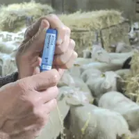 L'homéopathie, efficace et bon marché, accompagne les éleveurs dans leurs pratiques d'élevages sans pour autant remplacer les traitements usuels.