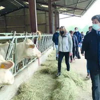 Julien Denormandie, Ministre de l'agriculture visite une exploitation en bovins viande dans le Puy-de-Dôme.